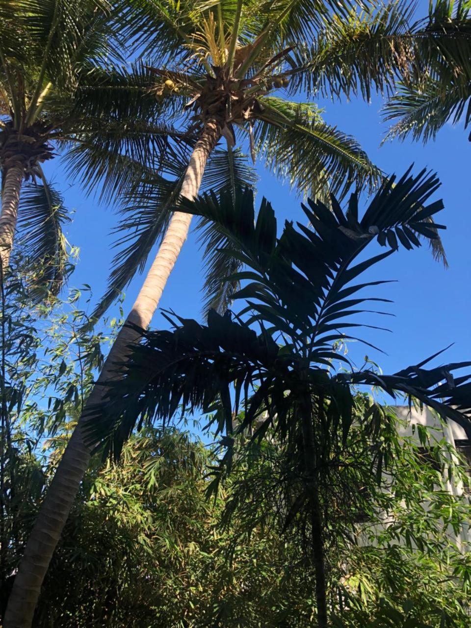 Villa Florencia Bavaro Punta Cana Dış mekan fotoğraf