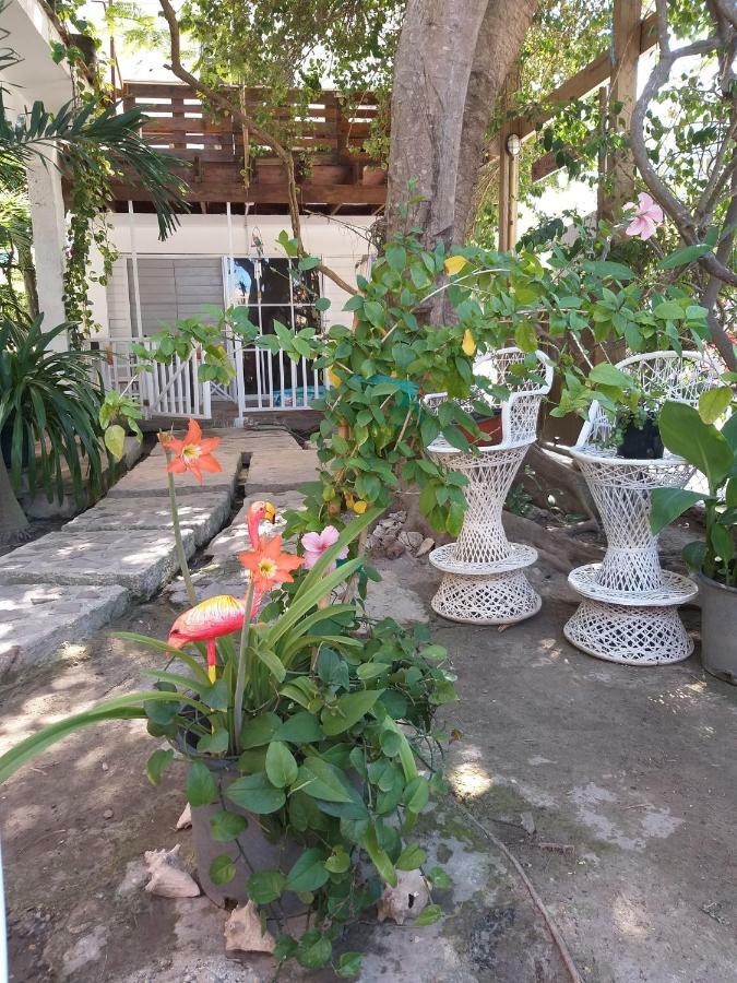 Villa Florencia Bavaro Punta Cana Dış mekan fotoğraf
